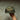 Camo Carquest K-Brand Trucker