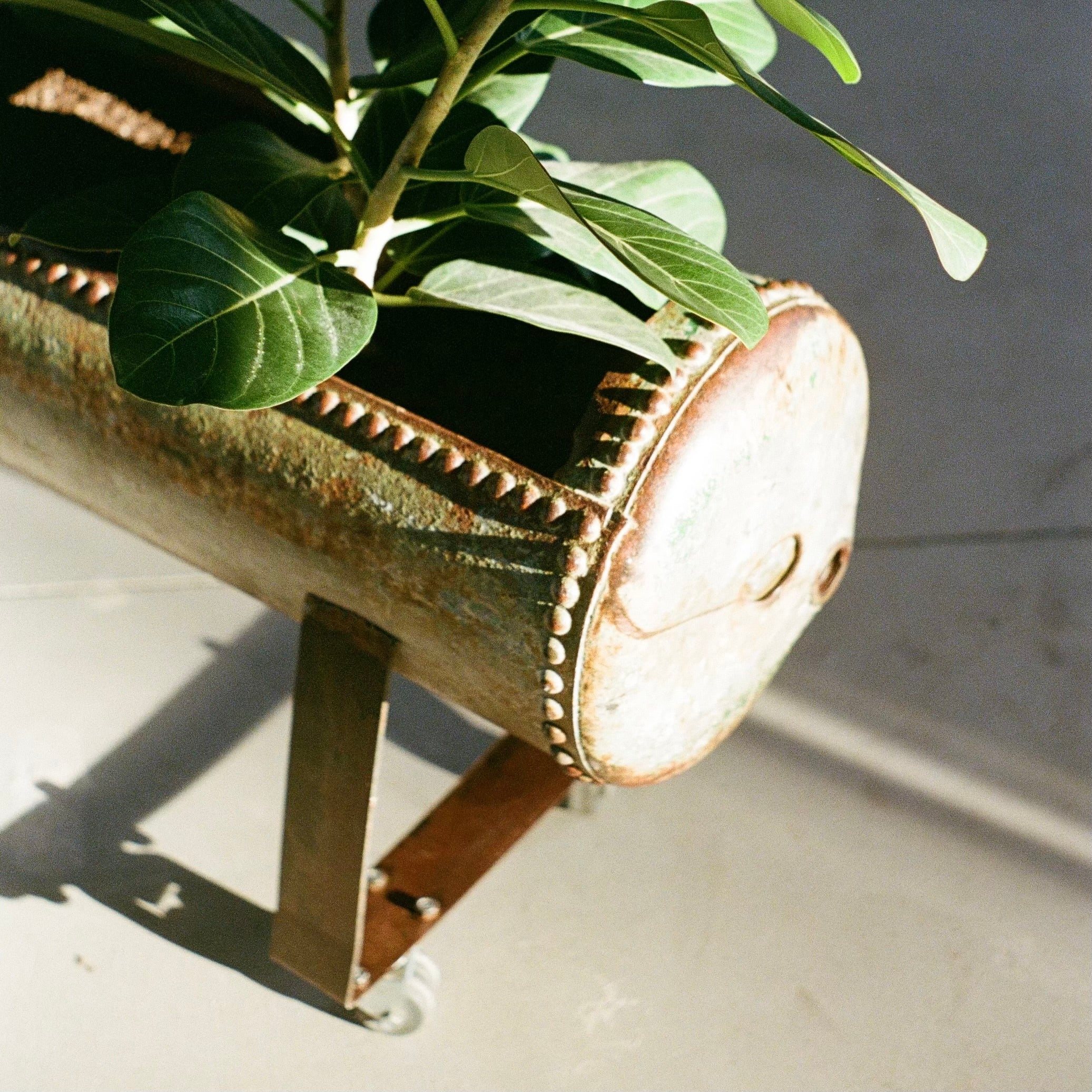 Early 20th Century Indoor Planter